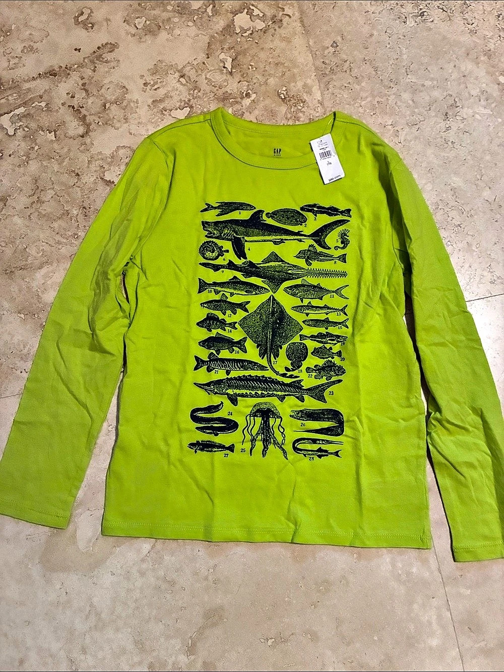 NWT! GAP Everyday Graphic Long Sleeve Tee
